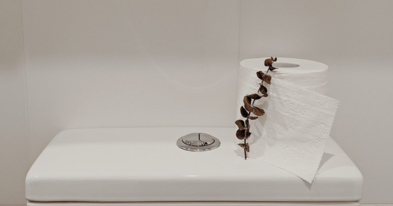 fix-running-toilet-without-calling-a-plumber.webp